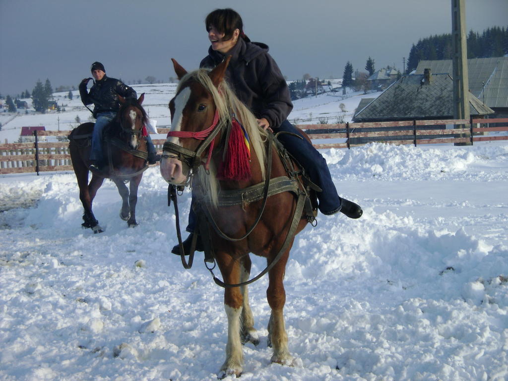 Pensiunea Popasul Iancului Mărişel Kültér fotó