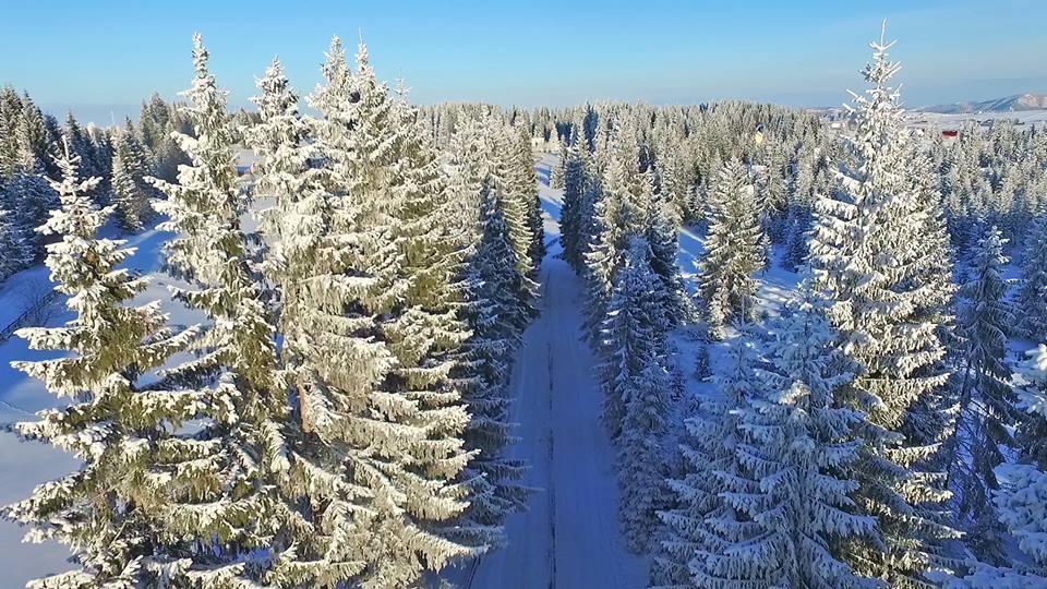 Pensiunea Popasul Iancului Hotel Mărişel Kültér fotó